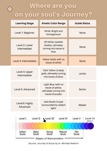 Load image into Gallery viewer, Soul Audit