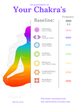 Load image into Gallery viewer, Soul Audit