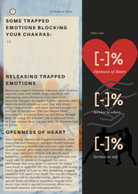 Load image into Gallery viewer, Soul Audit