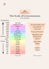 Load image into Gallery viewer, Soul Audit