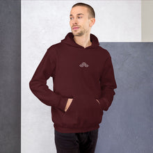 Load image into Gallery viewer, Peripheral Visons Eyes + Backpiece Hoodie | Black / Bordeaux